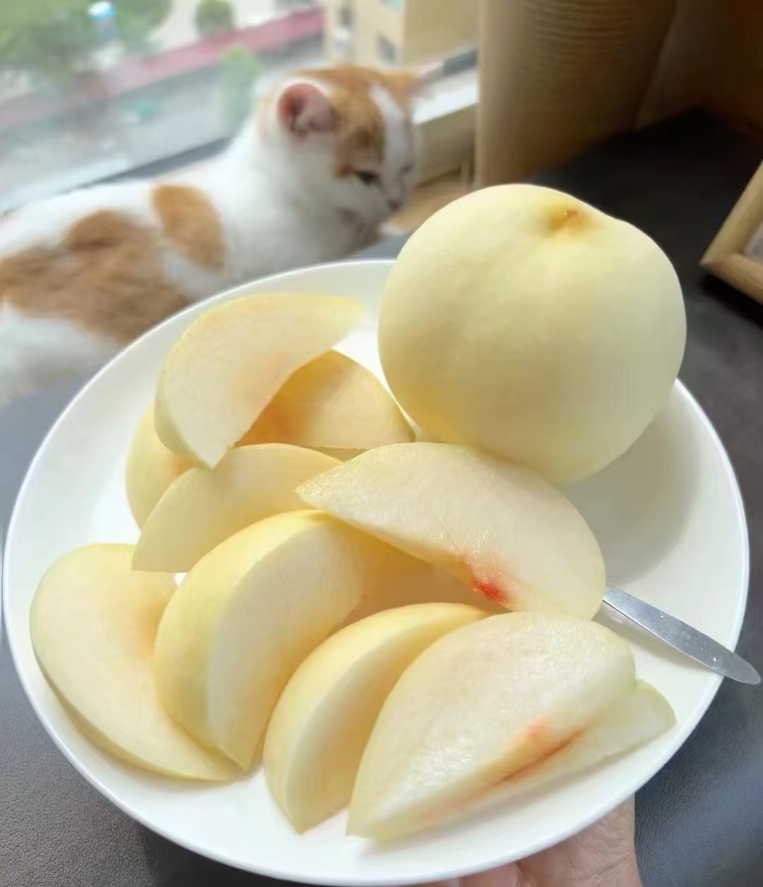 京东新鲜采摘纯甜金秋红蜜冬桃雪红心桃脆甜果园直发雪桃