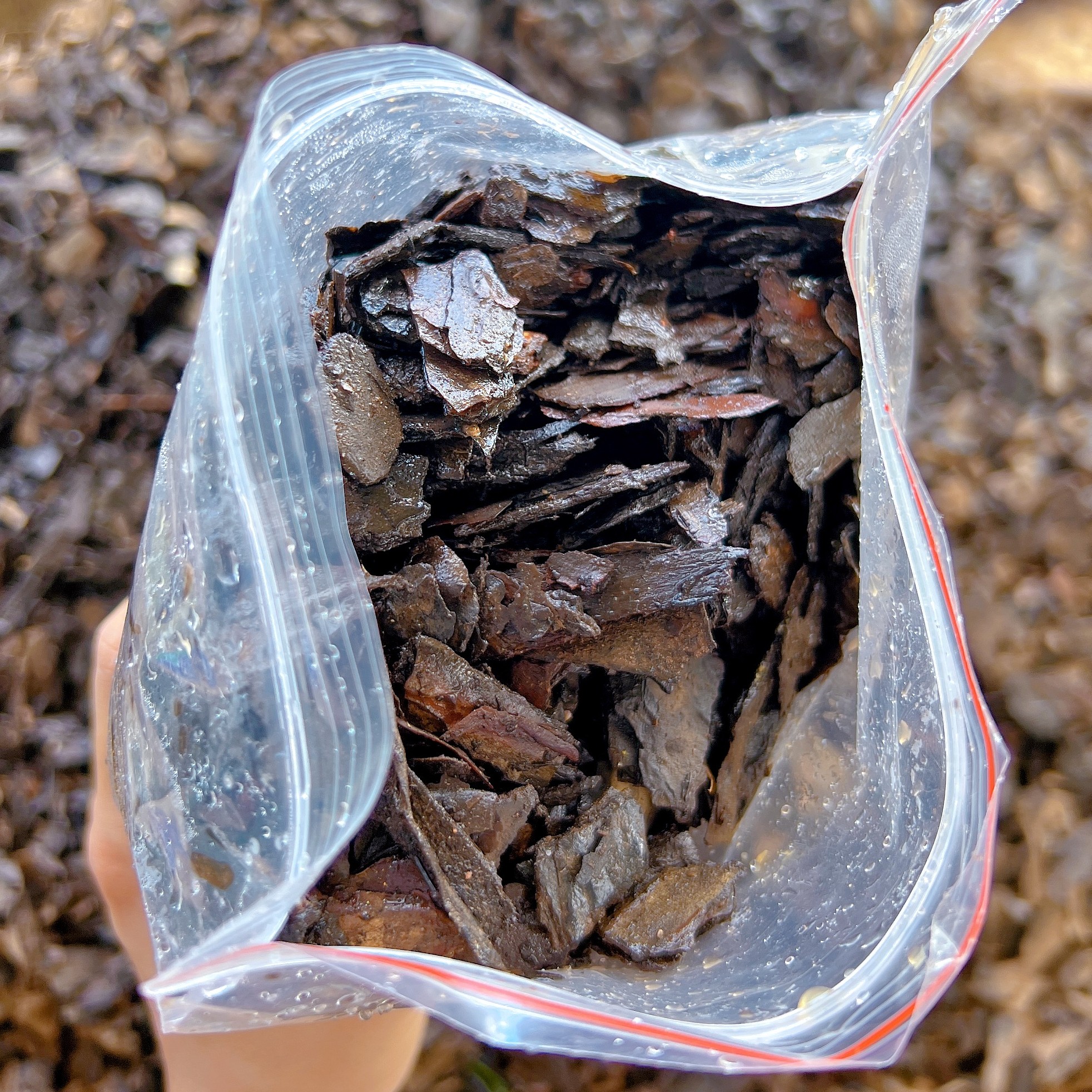 石斛种植鼓槌木屑