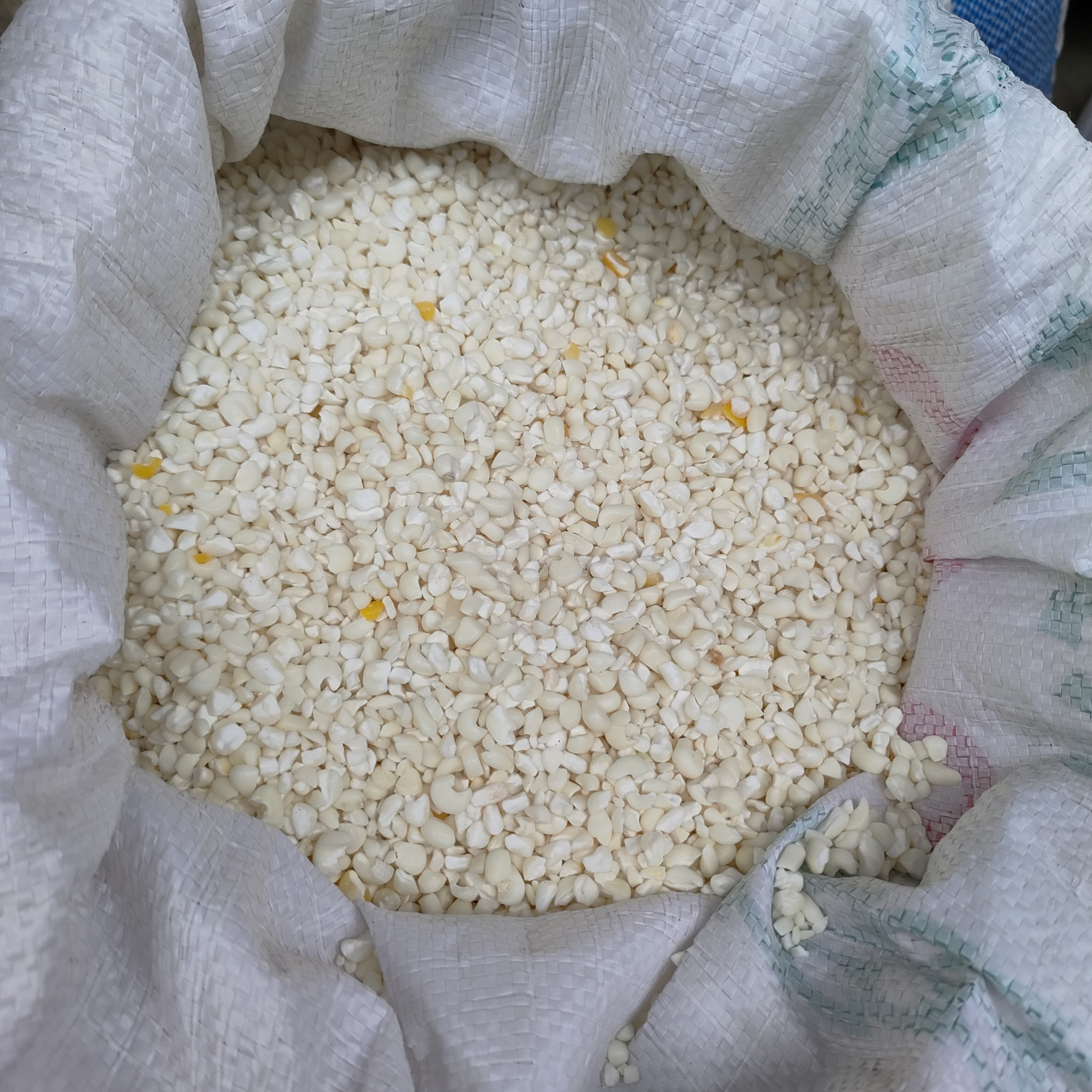 正宗罗城天河玉米头