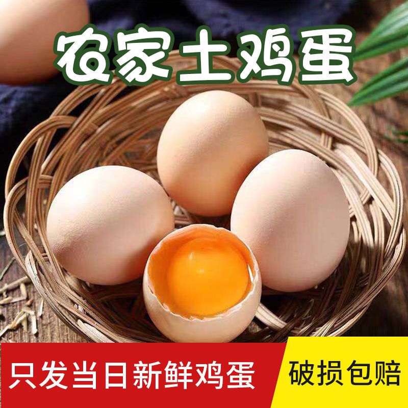 【现捡现发】正宗农家土鸡蛋林间散养新鲜农村新鲜鸡蛋破损包赔4枚