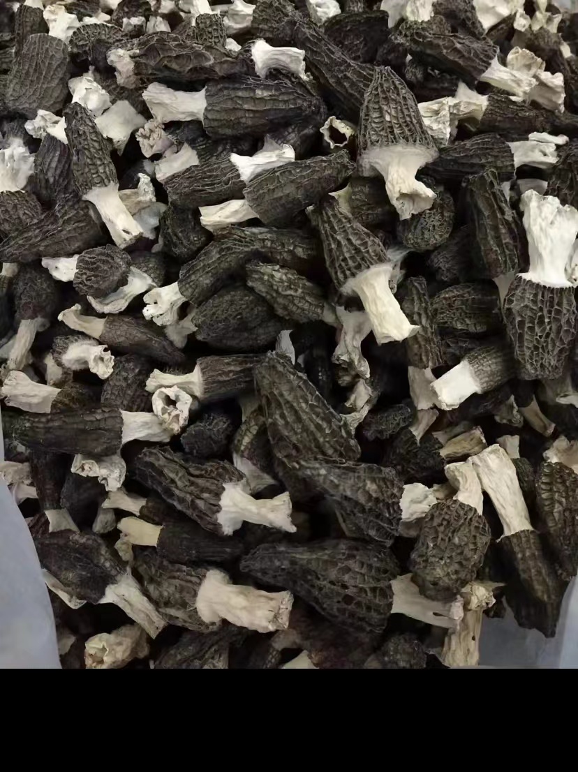 蜜蜜土特产羊肚菌100g。