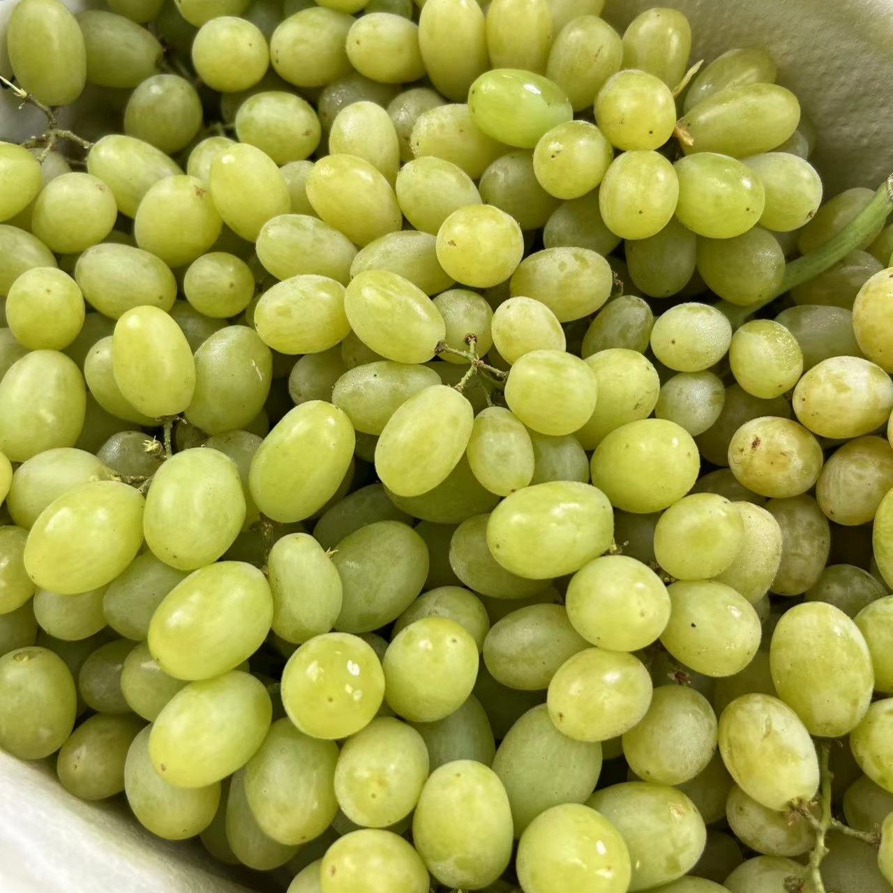 新疆小蜜蜂葡萄【毛5斤】纯甜无酸