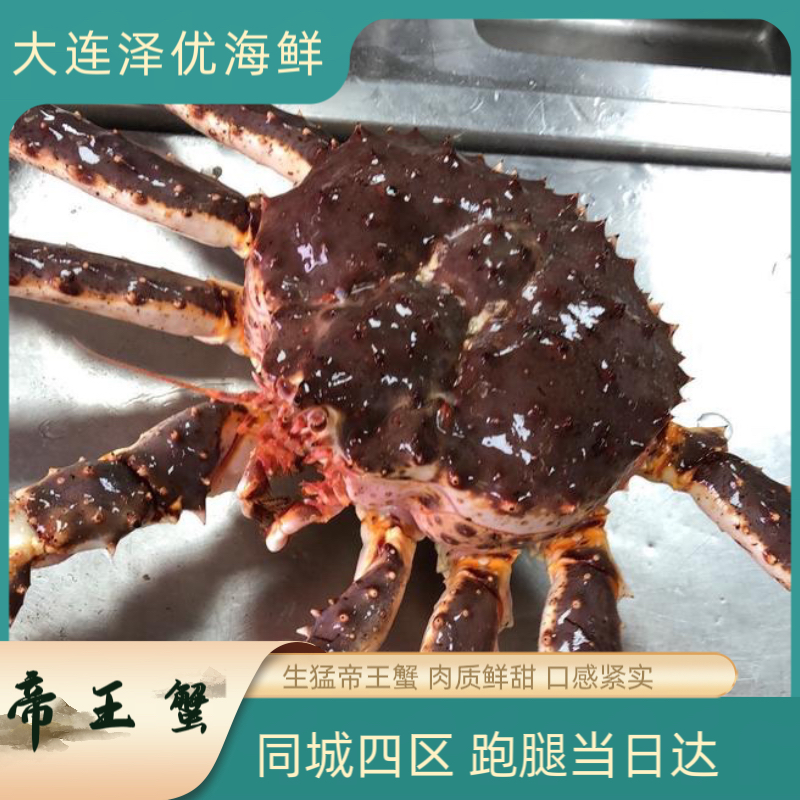 【生猛帝王蟹】现场称鲜活发货 保鲜不保活 掉水率5%-15% 介意慎拍