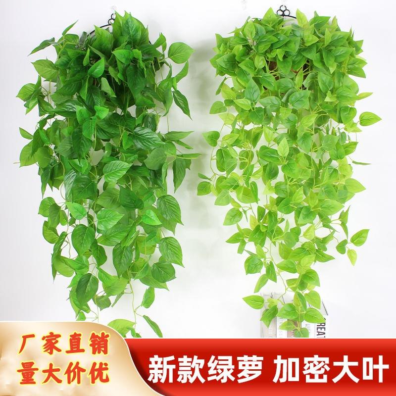仿真绿萝植物假绿叶吊兰装饰壁挂藤条叶子塑料室内吊篮挂墙假花藤