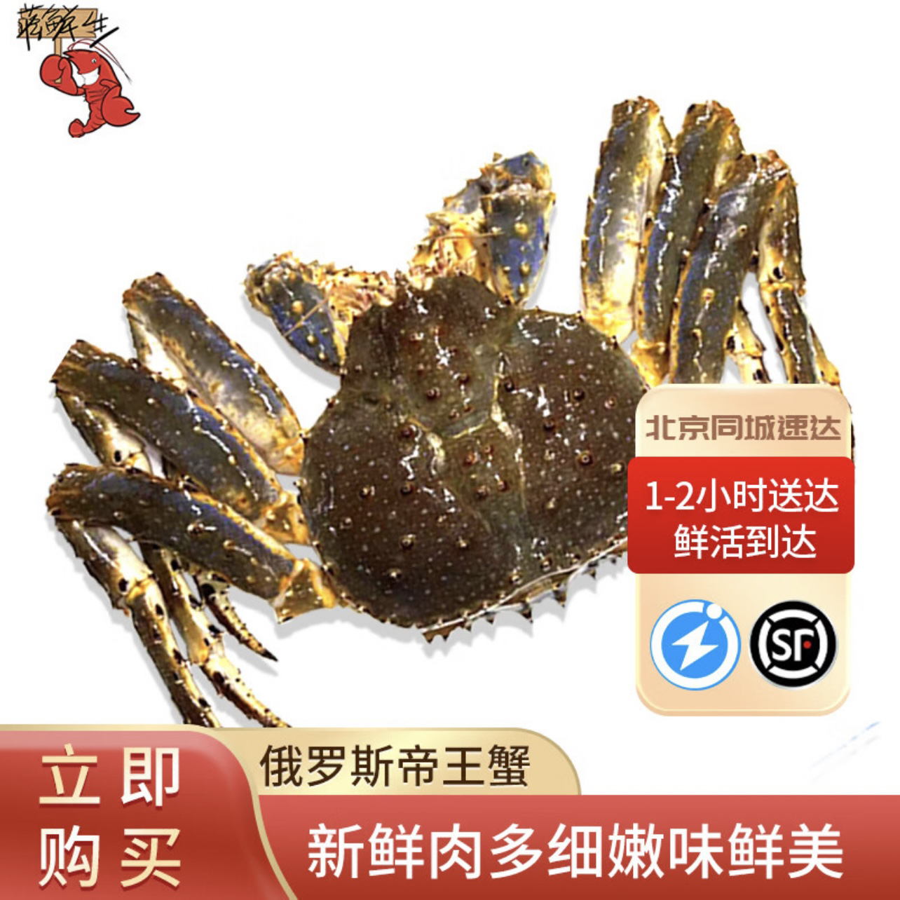 【鲜活】帝王蟹3-9斤进口生猛海鲜（多规格可选）