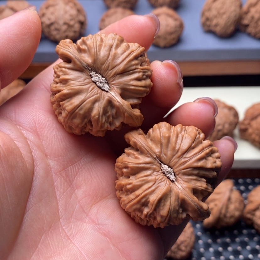 【闪购商品】桃核吊坠远*42.5白狮子