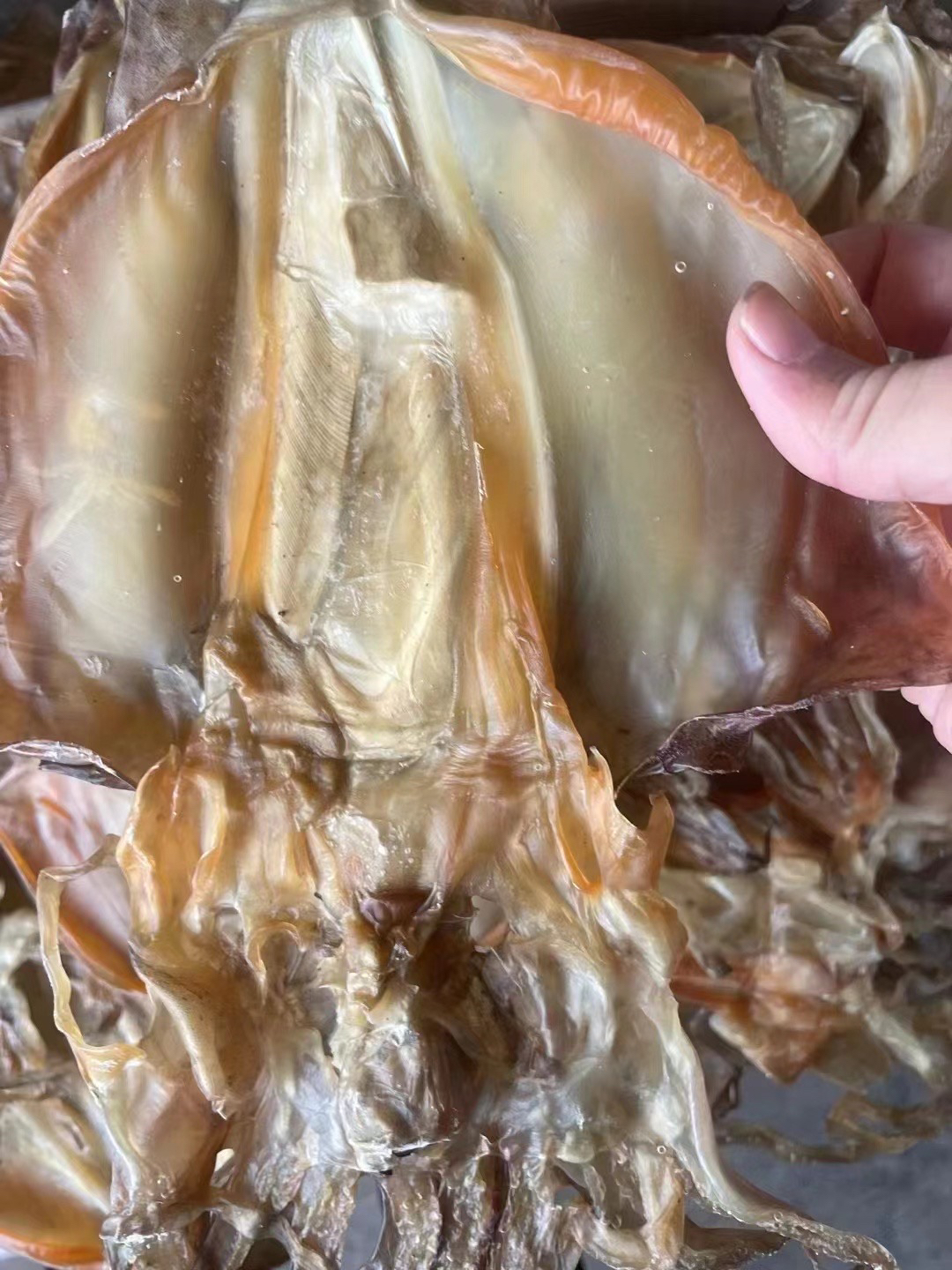 （胖姑家）新货本地墨鱼干