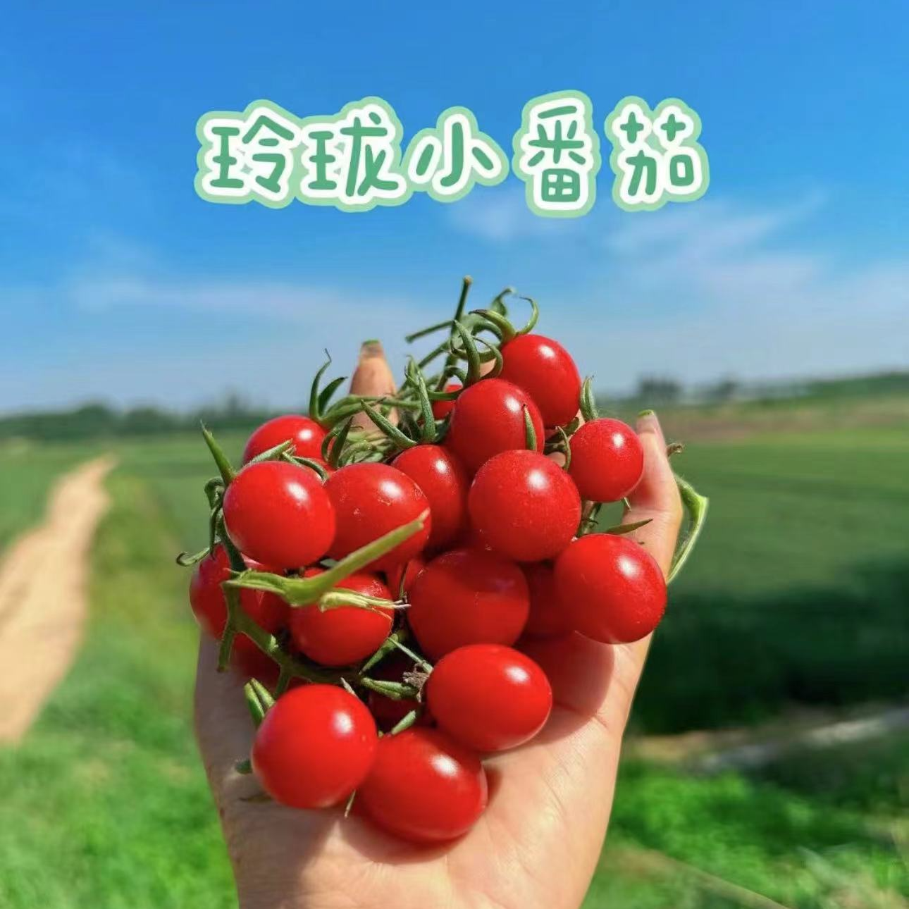 【1小时送到家】玲珑千禧3斤/箱【口感酸酸甜甜】