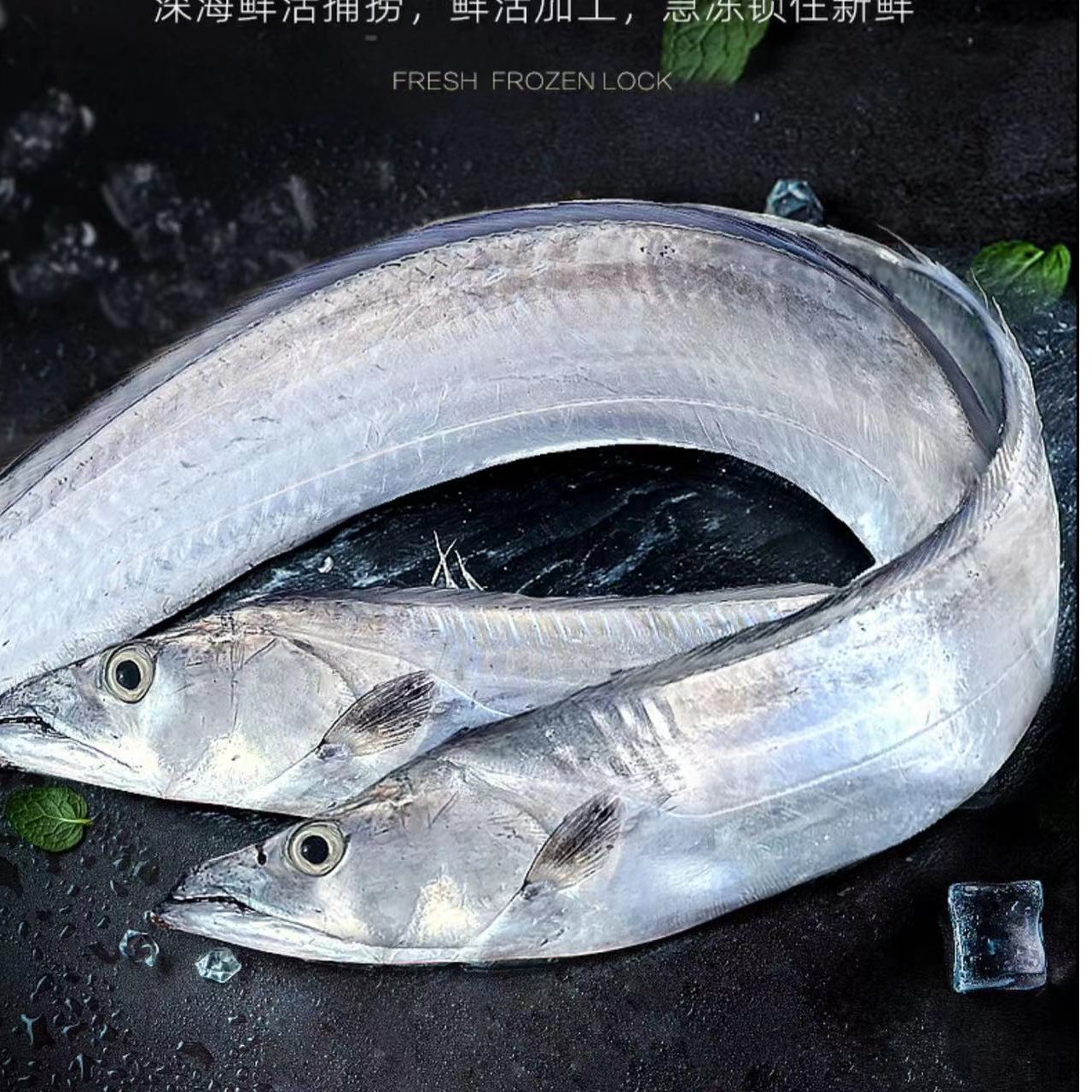 1专属精选年货 大带鱼 8两一斤左右/条 野生带鱼新鲜鲜带鱼五条