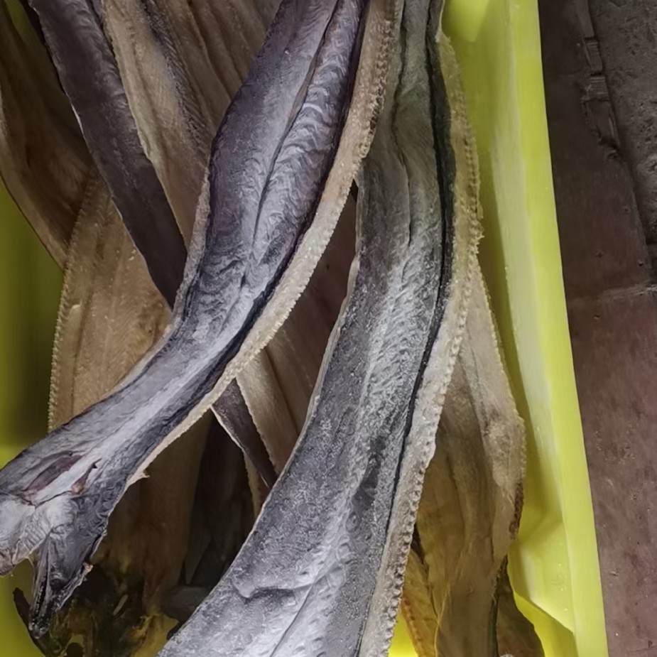 吕四渔港，新鲜鳗鱼，淡干，2.5kg
