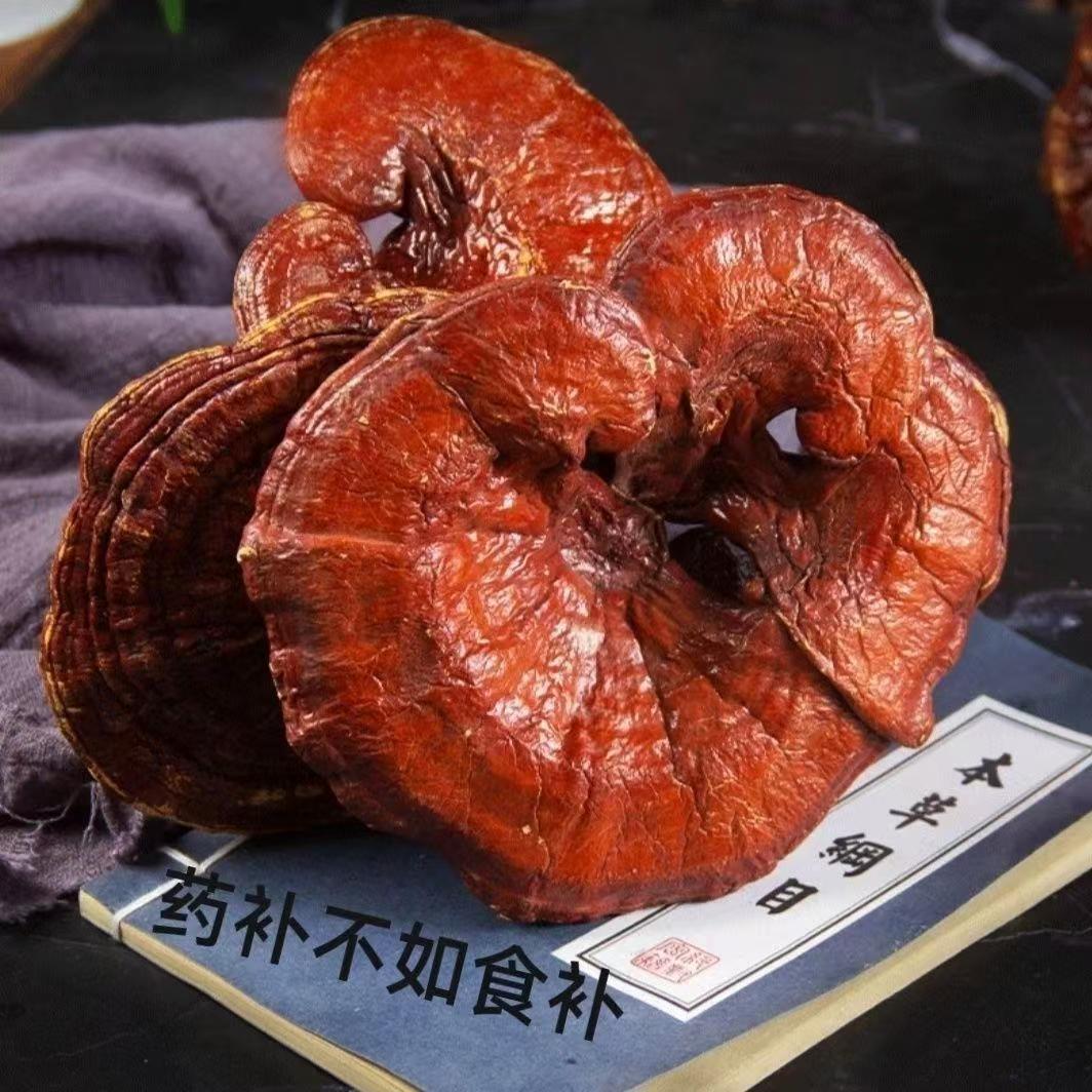 云达仁【赤灵芝 黑灵芝】正宗 大别山椴木灵芝 整颗林芝切片