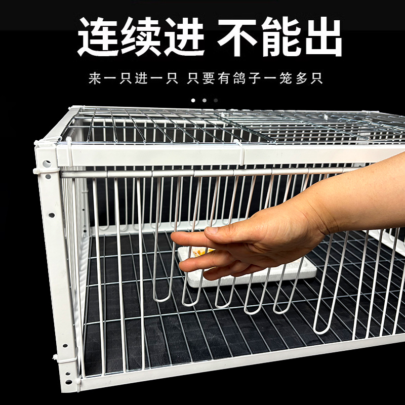 新款天落笼方便加厚加密自动收鸽子神器活络门撞门户外只进不出