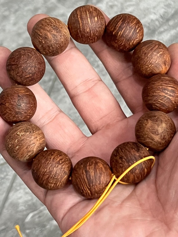 北太行黑骨爆满雪花蚂蚁腿2.0