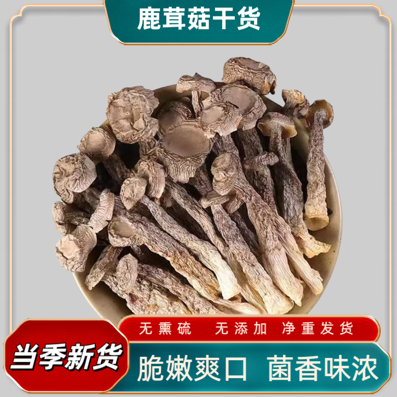 鹿茸菇干货脆脆菇煲汤爆炒口感脆嫩营养美味菌菇食用菌