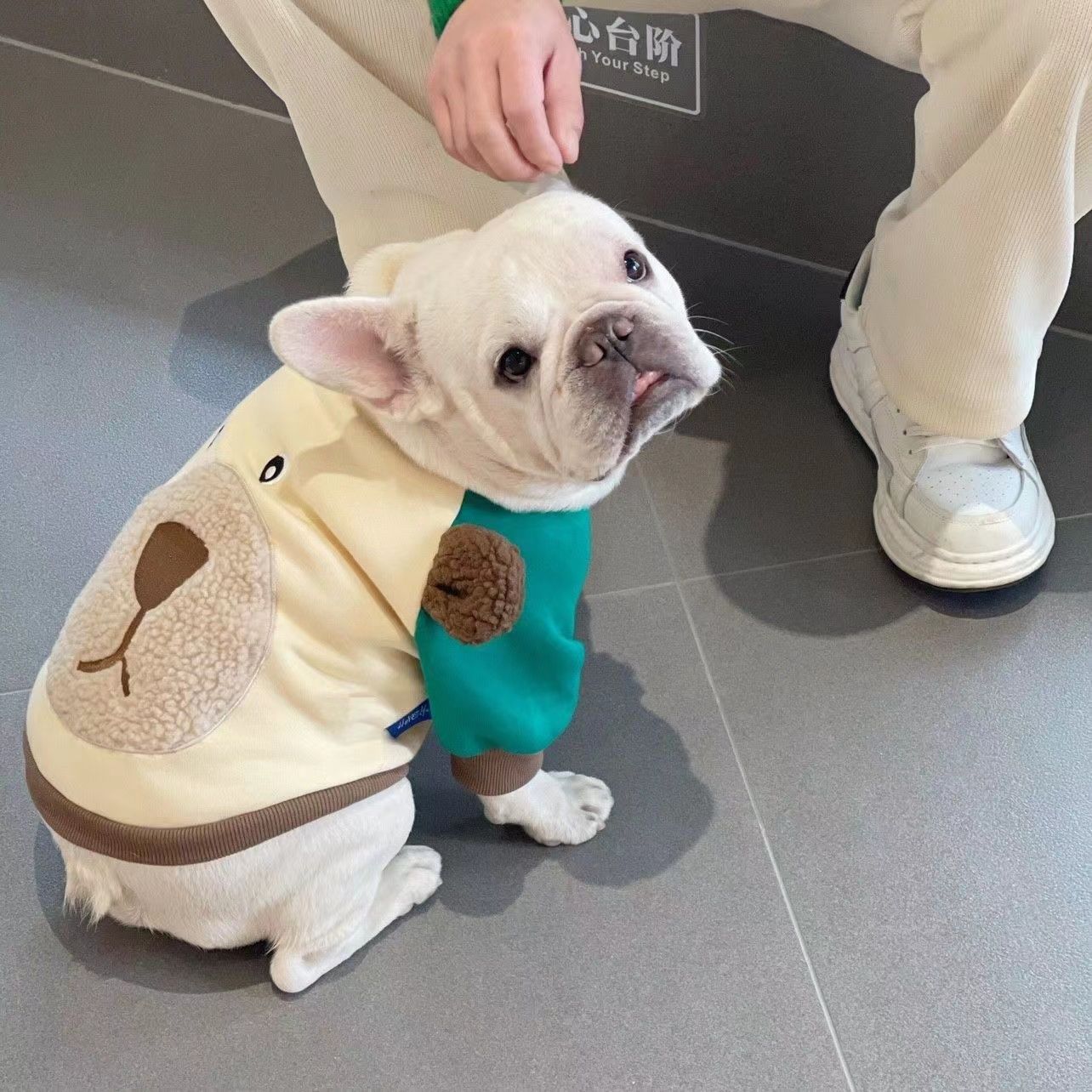 泰迪柴犬猫咪潮宠物潮牌秋冬加绒款狗狗衣服法斗雪纳瑞比熊美观款