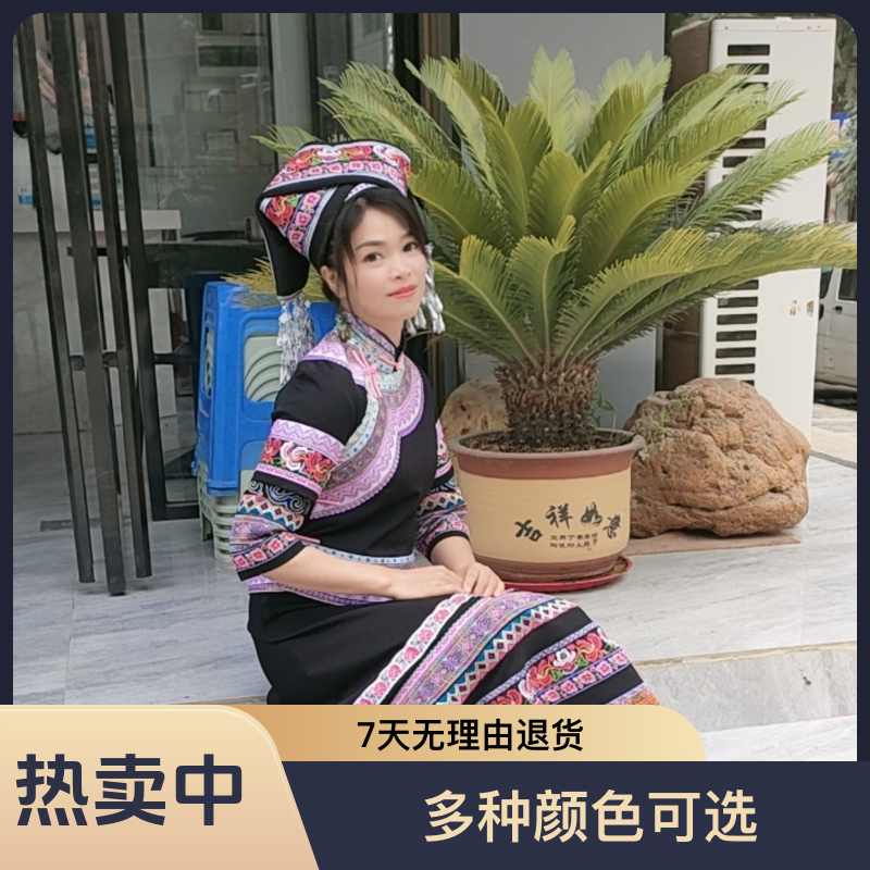 新款传统服饰女少数民族服装刺绣舞蹈演出服