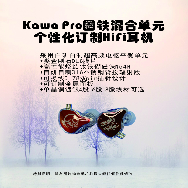 自研个性化定制金属面板圈铁混合双驱动单元新款耳挂耳机