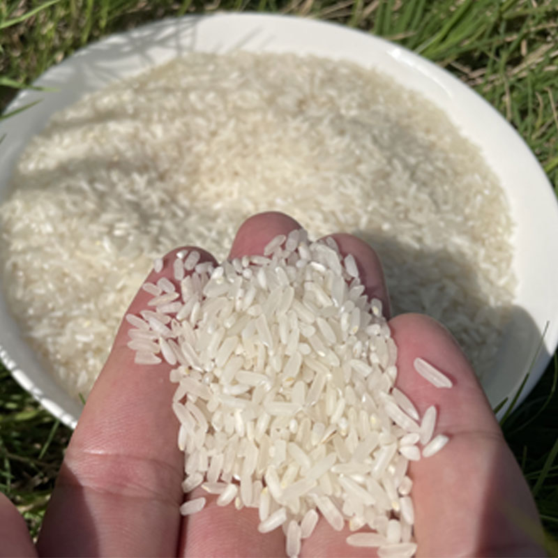 【农村今年新米】蔬菜土货山货