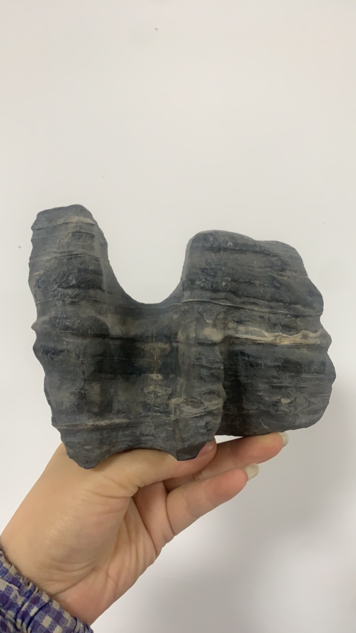 忻城县小深山奇石坊天然原石奇石创意摆件、附石