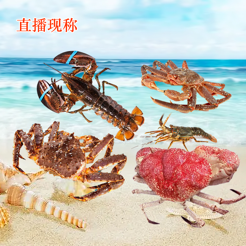 包邮 海鲜直播现称 帝王蟹波龙面包蟹海鲜年货冰鲜发货 顺丰到家