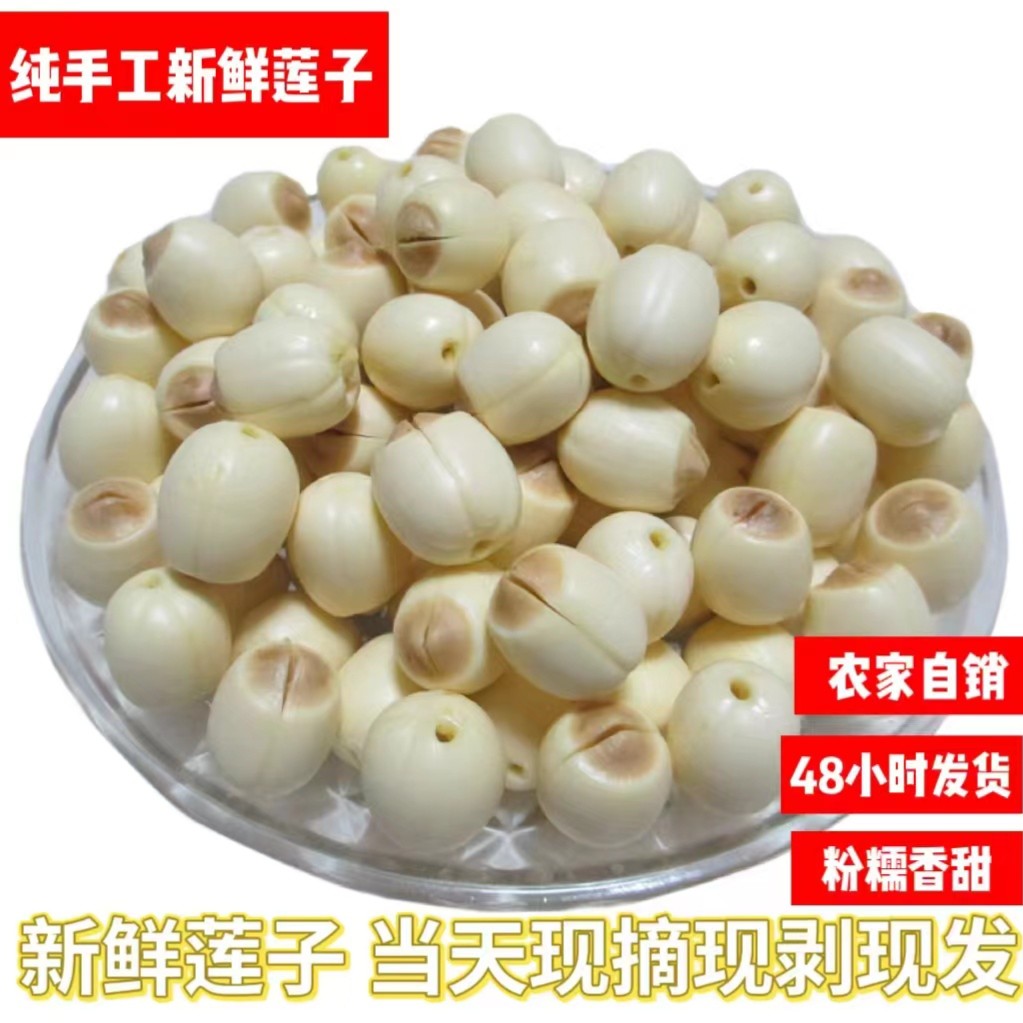 江西广昌莲子新鲜莲子每天现摘现剥发货新鲜莲米保鲜发货包邮