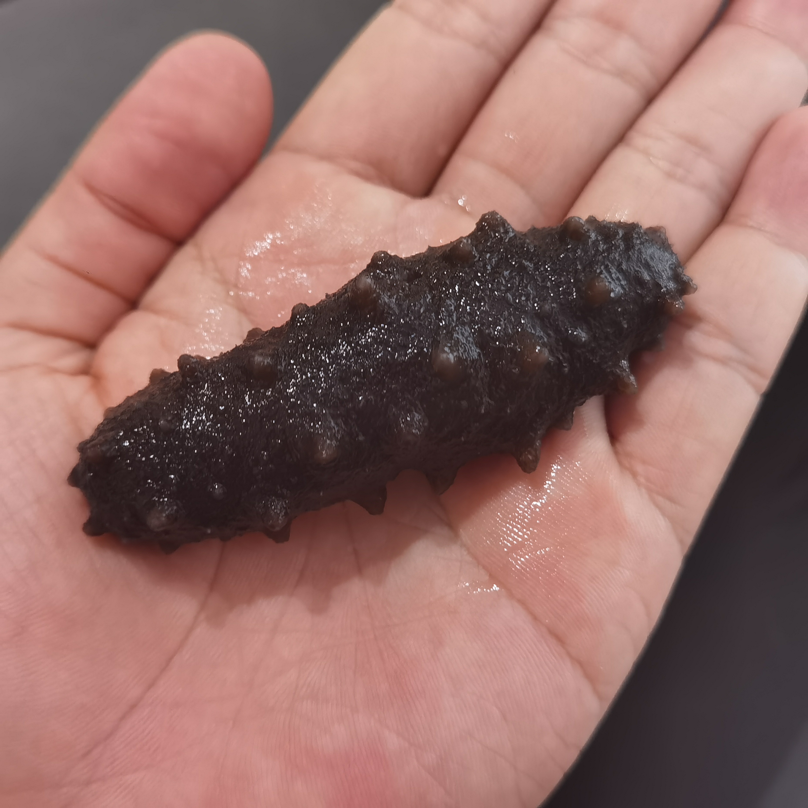 朱朱家大连即食刺参20头2盒