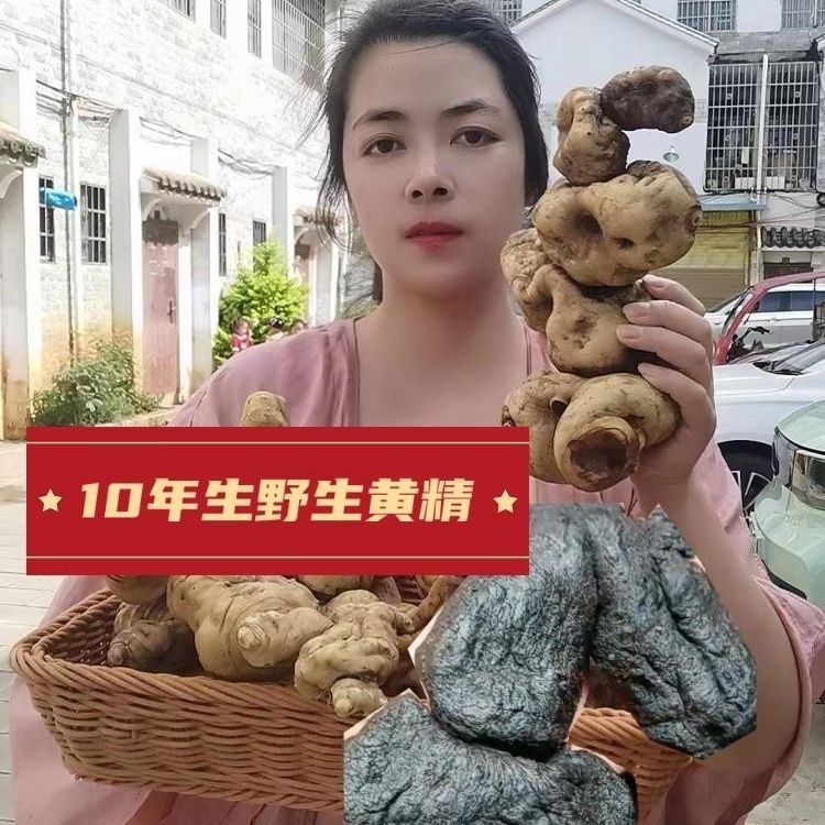 九蒸九制黄精试吃体验