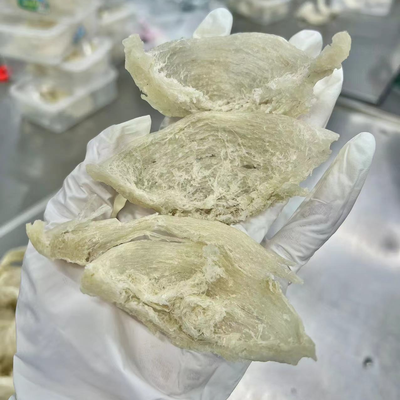 爪哇干挑燕窝微损盏