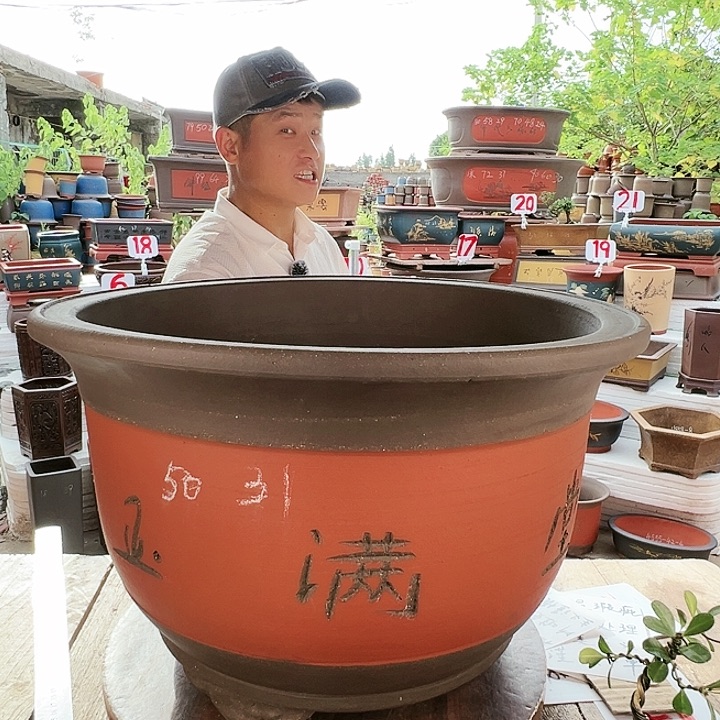 紫砂20CM（含）-50CM（不含）