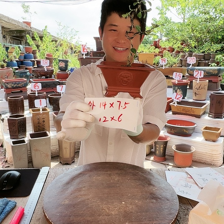 紫砂20CM（含）-50CM（不含）