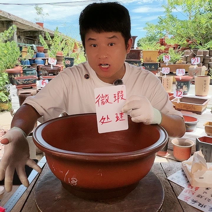 紫砂20CM（含）-50CM（不含）