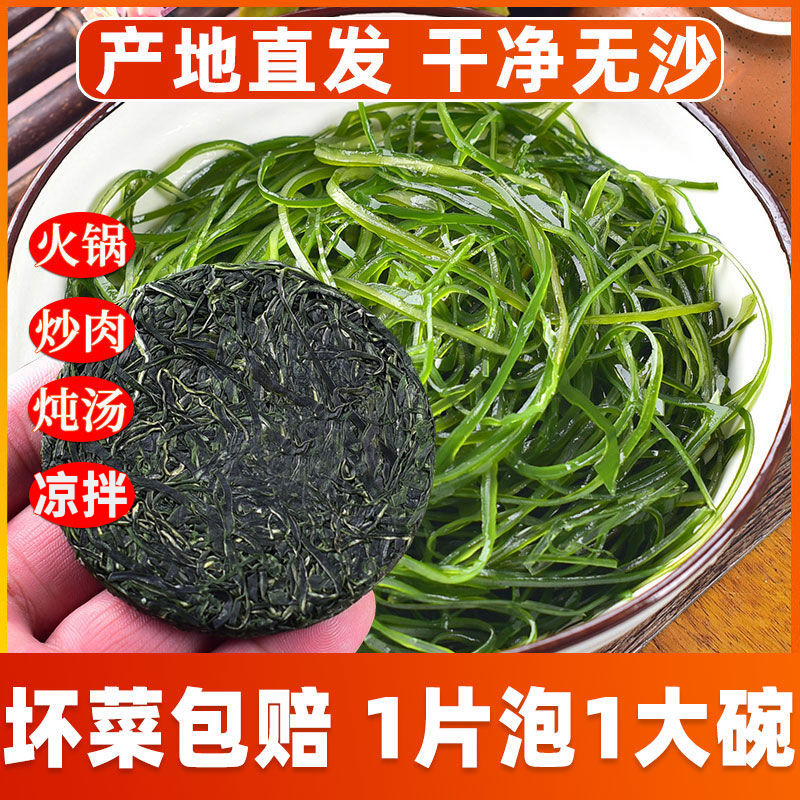 霞浦烘干压缩海带丝顶刀细丝干净无沙真空装产地直发凉拌脆爽22克
