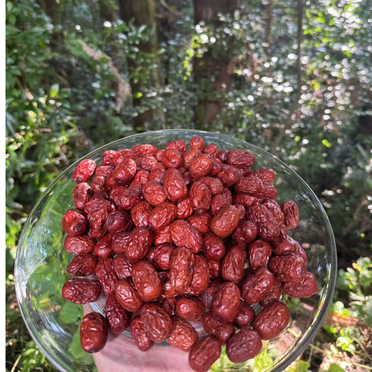 【高-原-红-枣】净含量500g