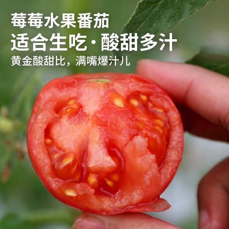 4斤【碱地】草莓西红柿 铁皮西红柿 酸甜自然 小时候味道