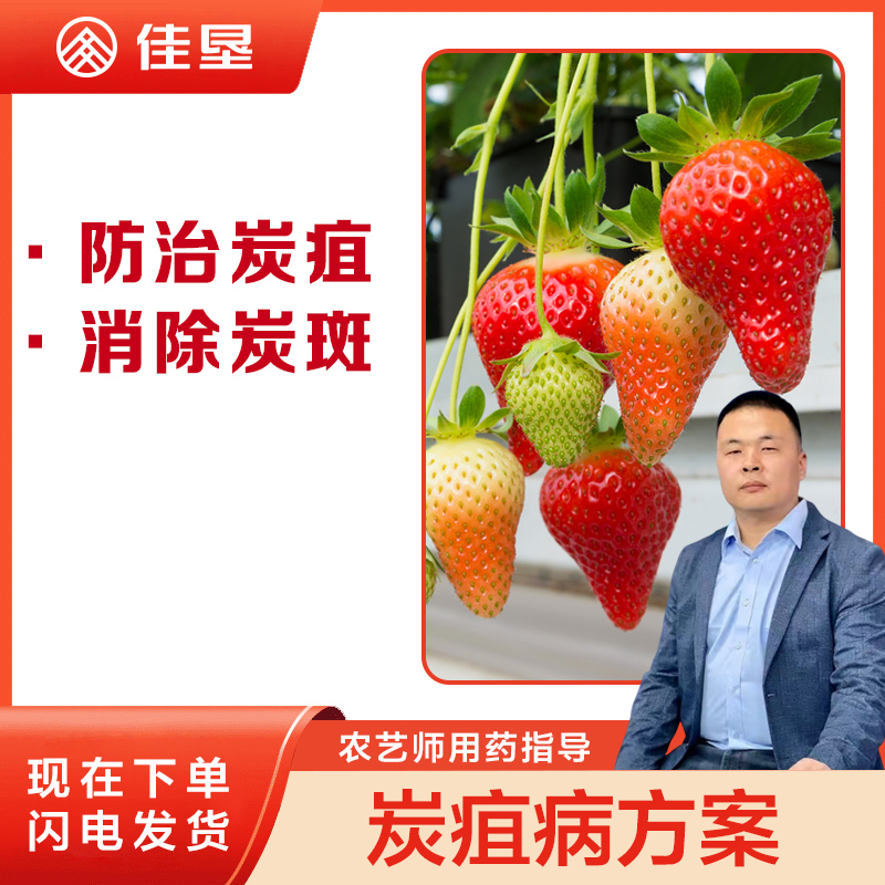 【佳垦草莓炭疽病2遍10桶方案】治疗草莓炭疽