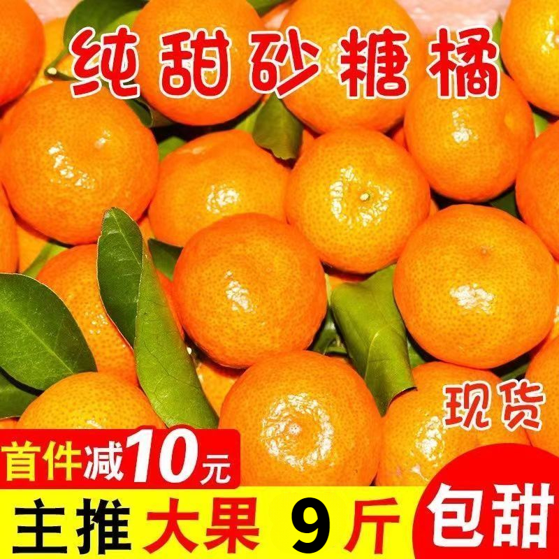 现货无籽金秋沙糖桔1-9斤冰糖蜜橘子应季新鲜水果薄皮桔子砂糖橘