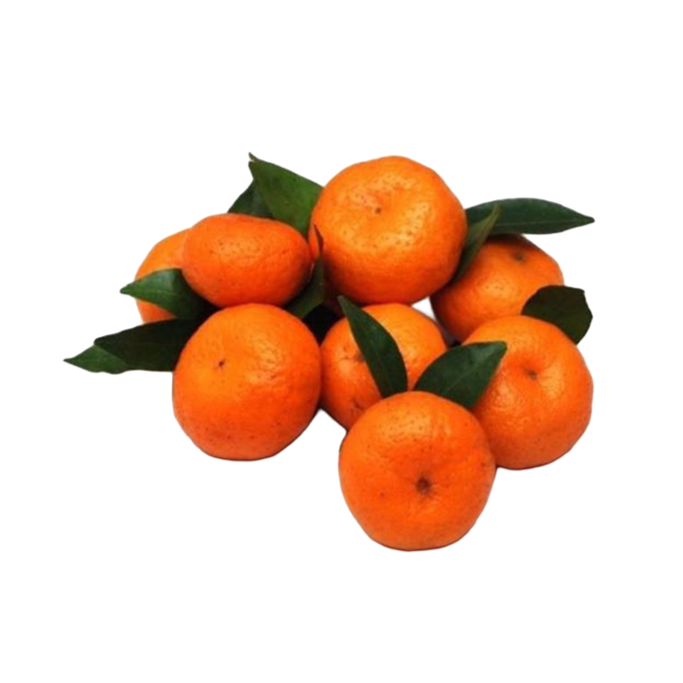 砂糖橘5斤装沙糖桔广西壮族自治区