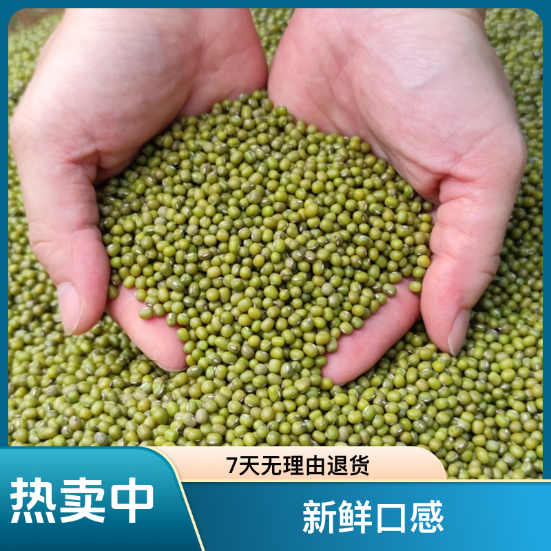本地农家可发芽绿豆新鲜颗粒饱满熬粥煮汤夏日解暑必备顺丰包邮