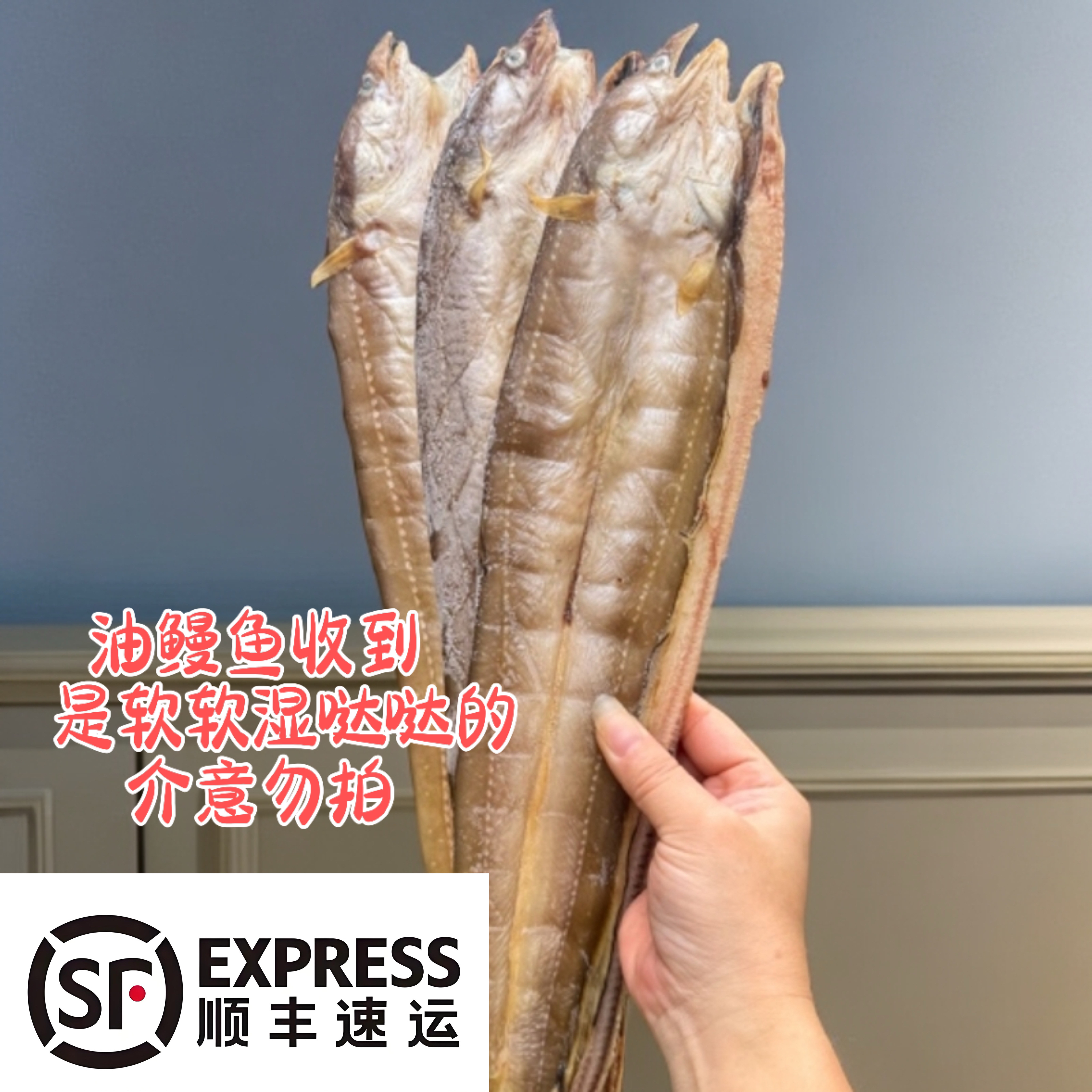 【顺丰速运】三斤鲜嫩油鳗鱼整条肉厚无刺湿的美味（本图片仅供参考）