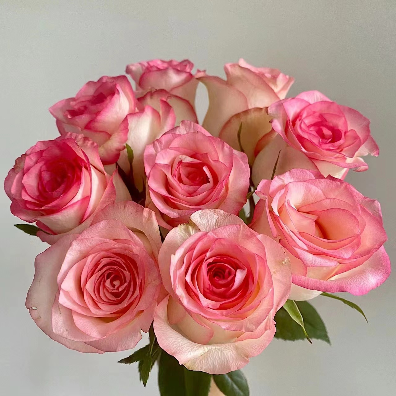 【艾莎+洛神+红腊梅+洋桔梗+向日葵套餐】鲜花【0度以下请拍保温棉】