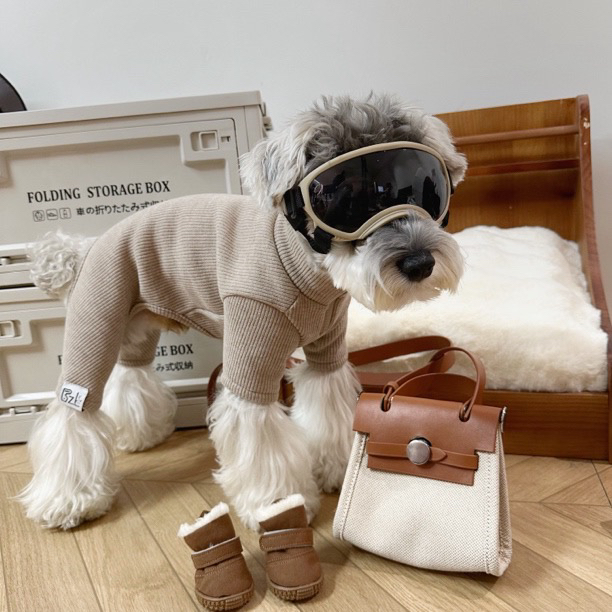 【豆芽】狗狗衣服秋冬保暖雪纳瑞比熊泰迪柴犬四脚打底【三】