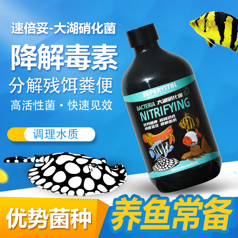 速倍妥大湖硝化菌 快速培菌 降解氨氮