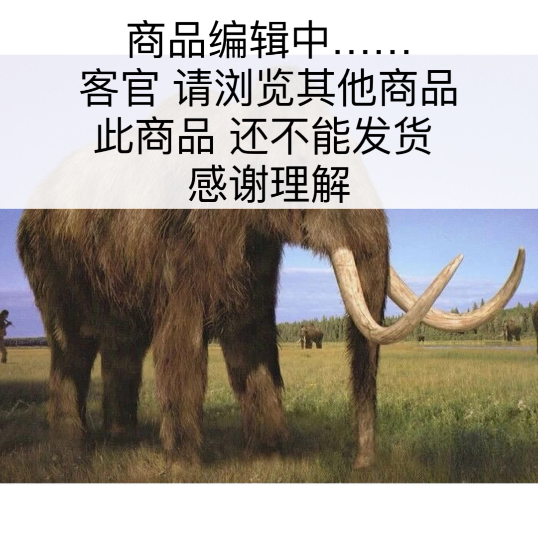 X5968天然猛犸牙 20mm宽贵妃手镯 70mm支持鉴定 假一罚四