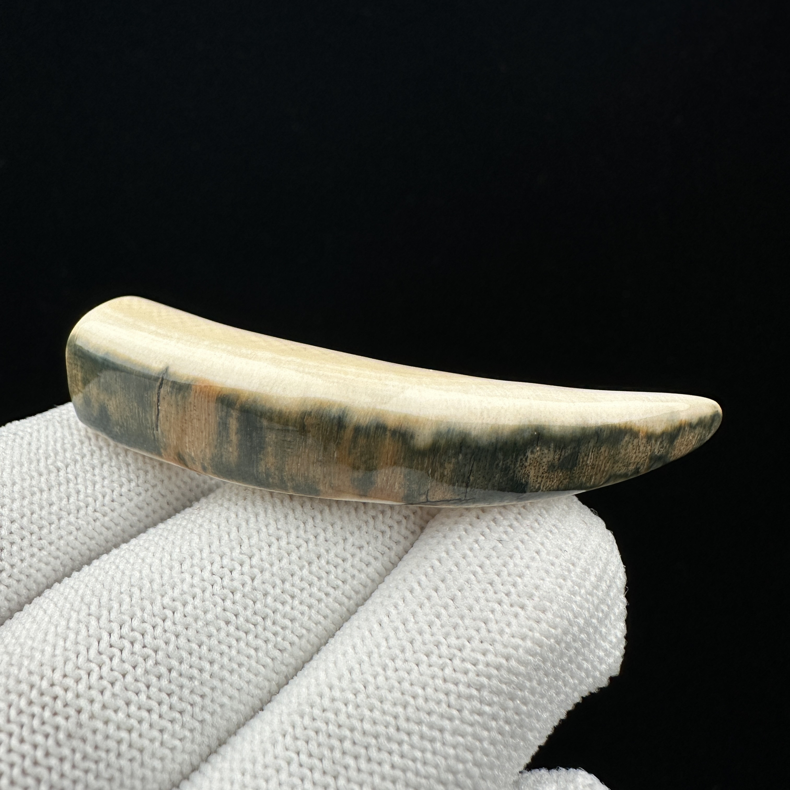 D2205天然猛犸牙  牙尖60*12.6mm支持鉴定 假一罚四