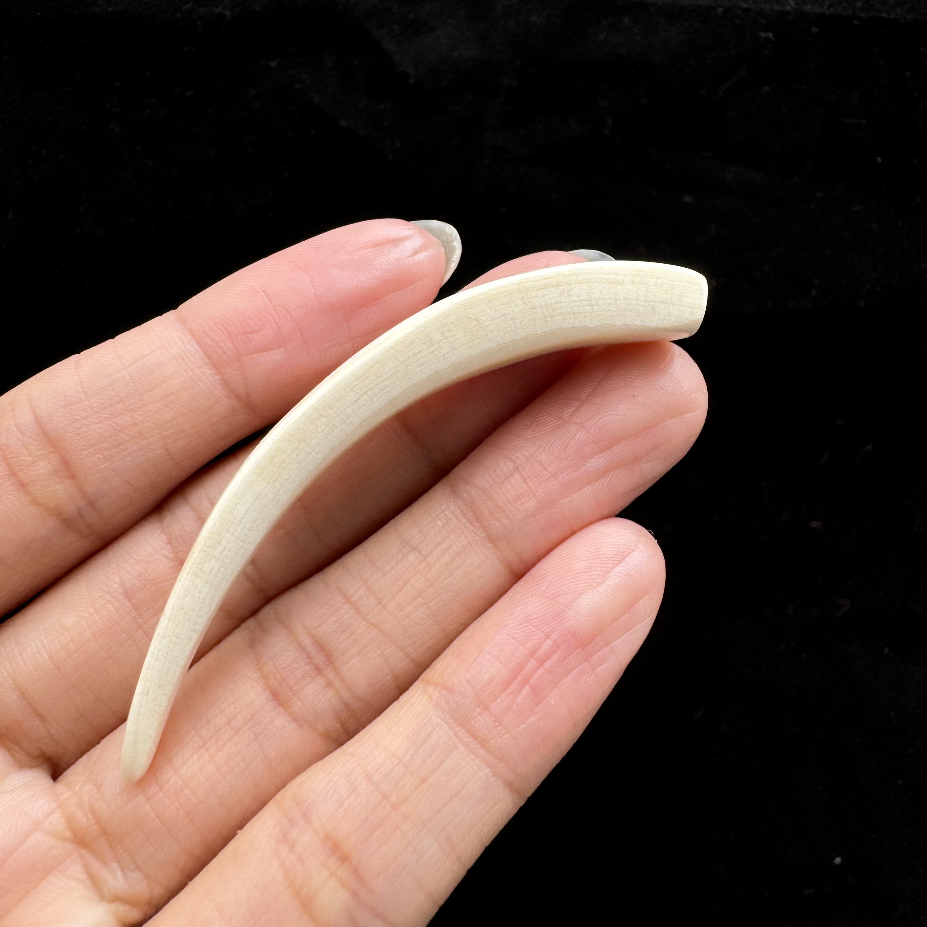 K9202天然猛犸牙素牙尖 长62mm支持鉴定假一罚四