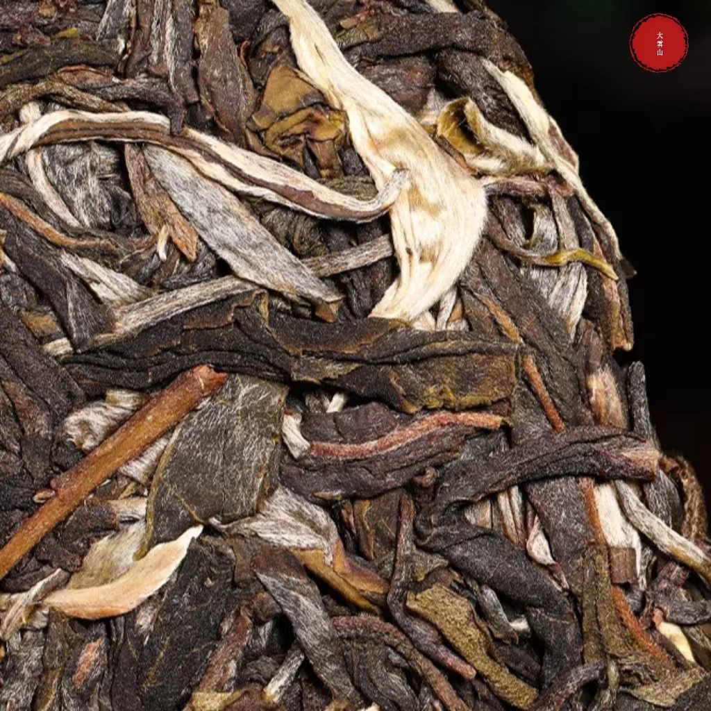 云南临沧勐库2020年大雪山醒茶冲泡普洱生茶 茶香饱满茶香浓烈