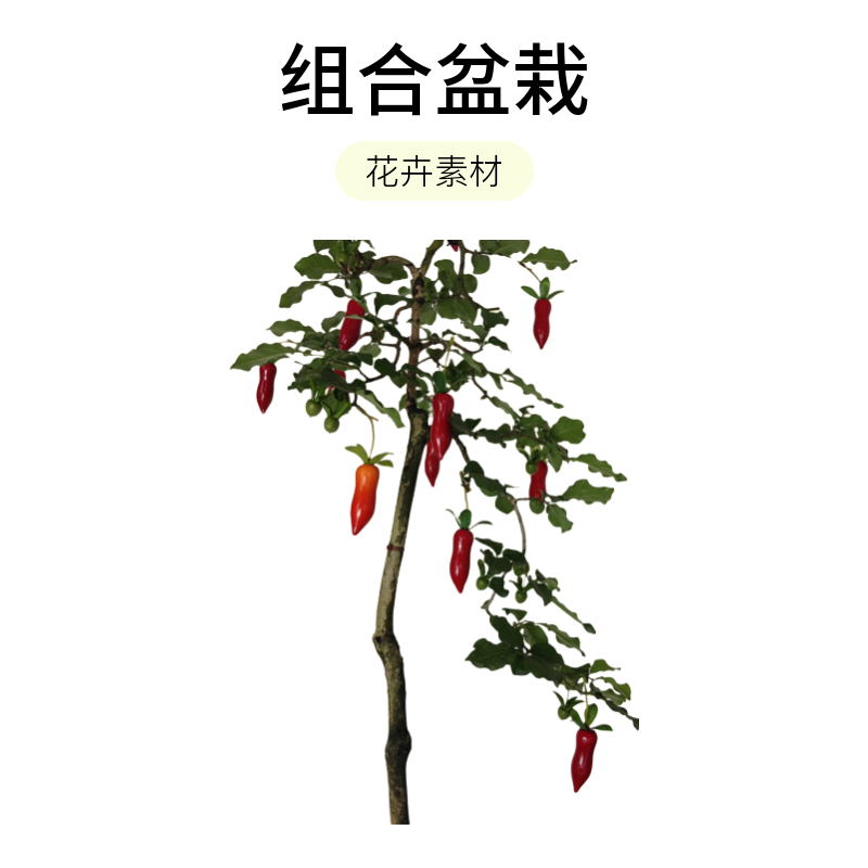 老鸦柿，金俾子梦之雫仿真果（10颗一件）