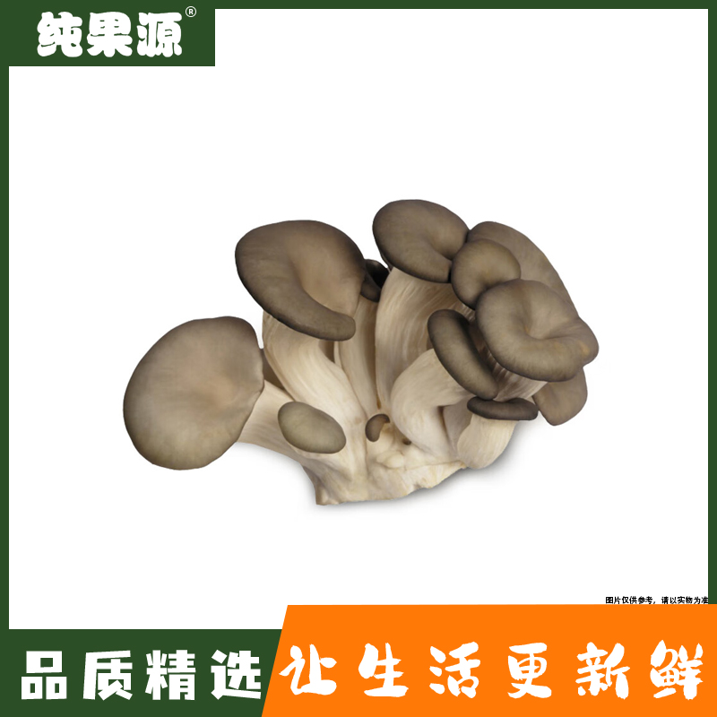 【纯果源】鲜蘑 500g