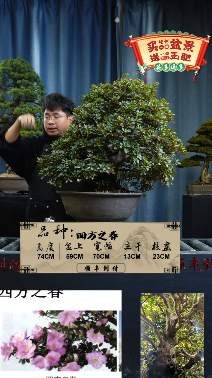 【闪购商品】f559四方之春bubaoyuo