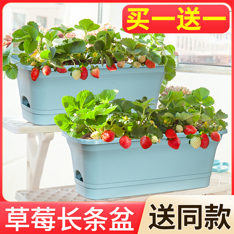 长条盆草莓盆栽长方形自吸水花盆阳台种菜神器加厚PP树脂大花盆